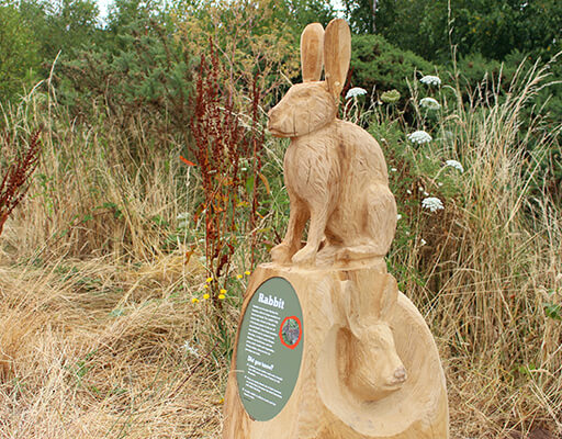 rabbit nature trail